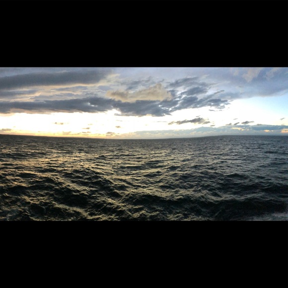 Meet your Posher, Michael - Picture 1 of 1